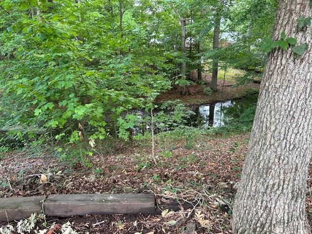 917 Lacon Dr Property Photo 3