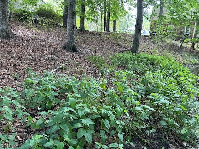 917 Lacon Dr Property Photo 9