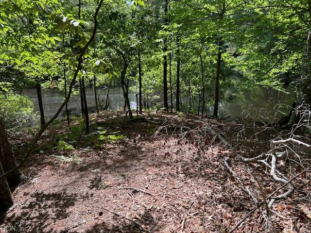 917 Lacon Dr Property Photo 12