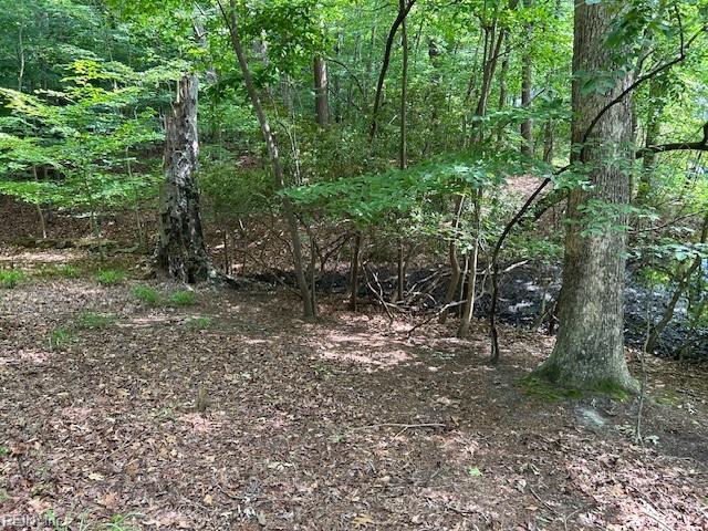 917 Lacon Dr Property Photo 13
