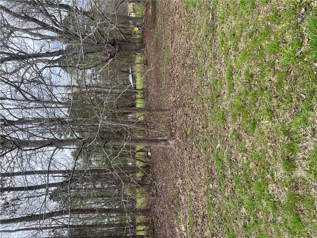 4733 Sondej Ave Property Photo 27