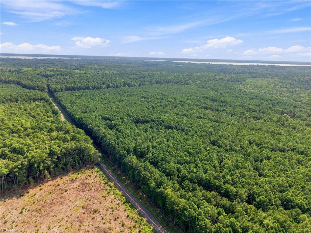 27+ Ac Low Ground Rd Property Photo 3