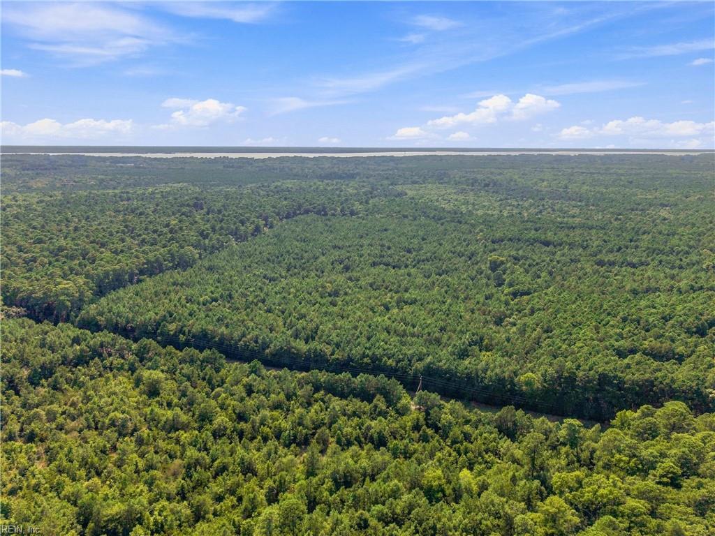 27+ Ac Low Ground Rd Property Photo 8