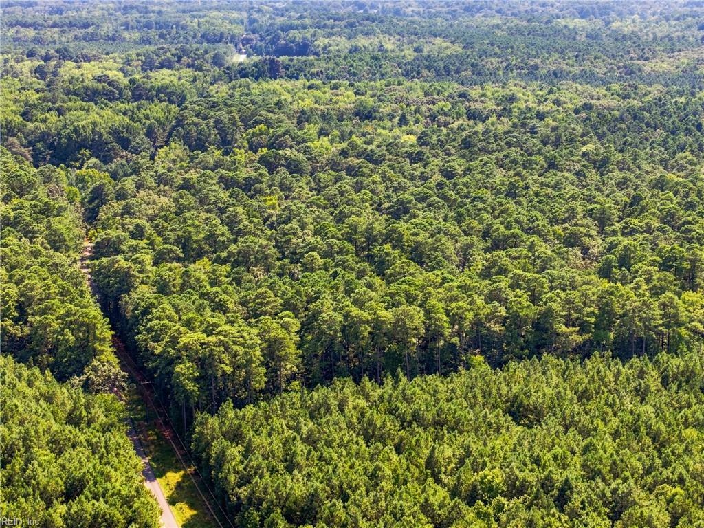 27+ Ac Low Ground Rd Property Photo 13