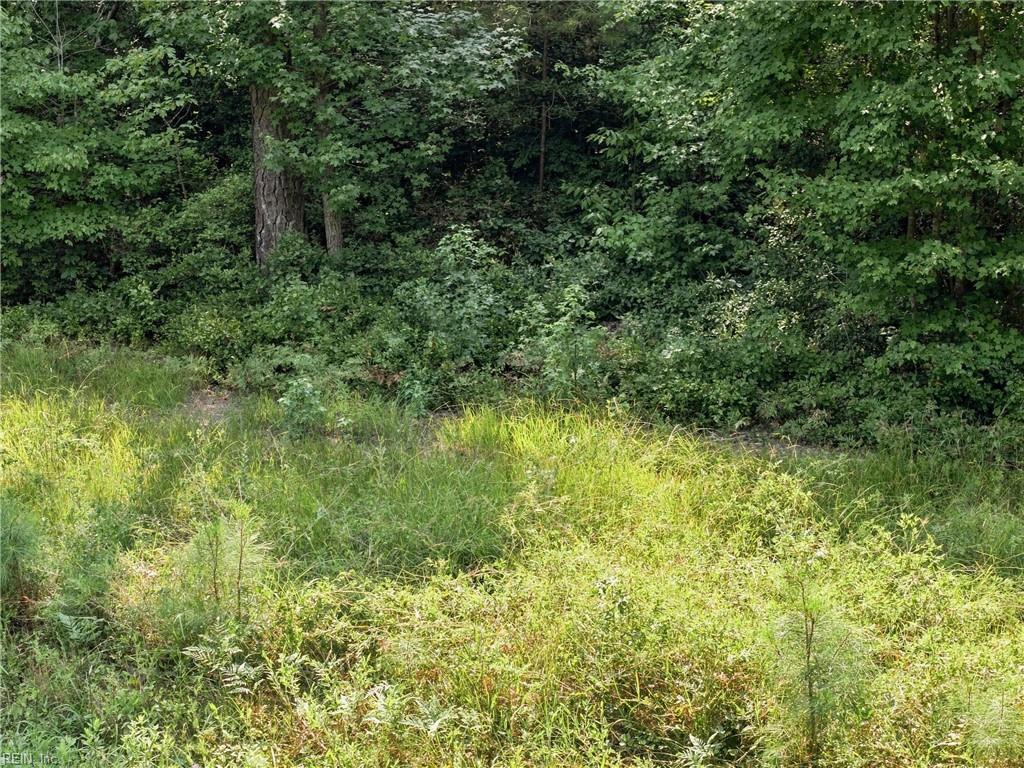 27+ Ac Low Ground Rd Property Photo 14