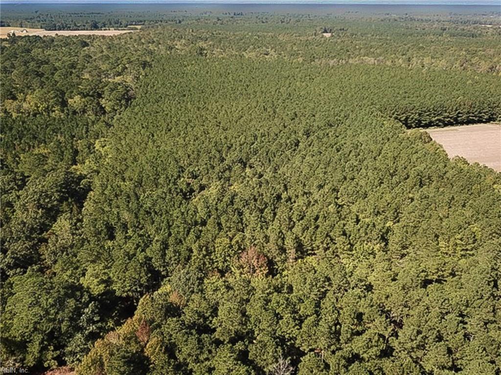 15 Acres Cypress Chapel Rd Property Photo 1