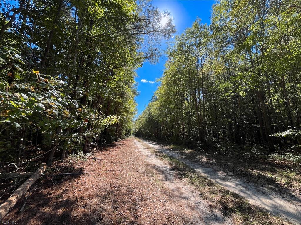 15 Acres Cypress Chapel Rd Property Photo 2