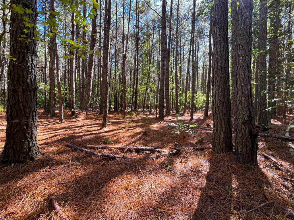 15 Acres Cypress Chapel Rd Property Photo 3