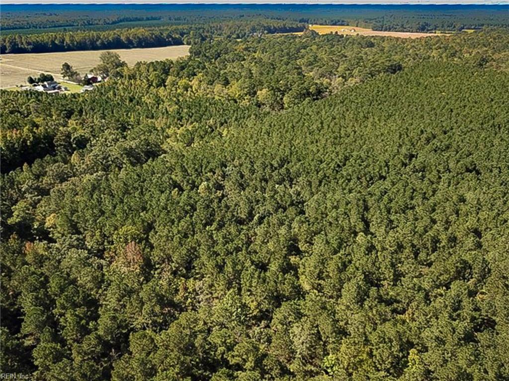 15 Acres Cypress Chapel Rd Property Photo 5