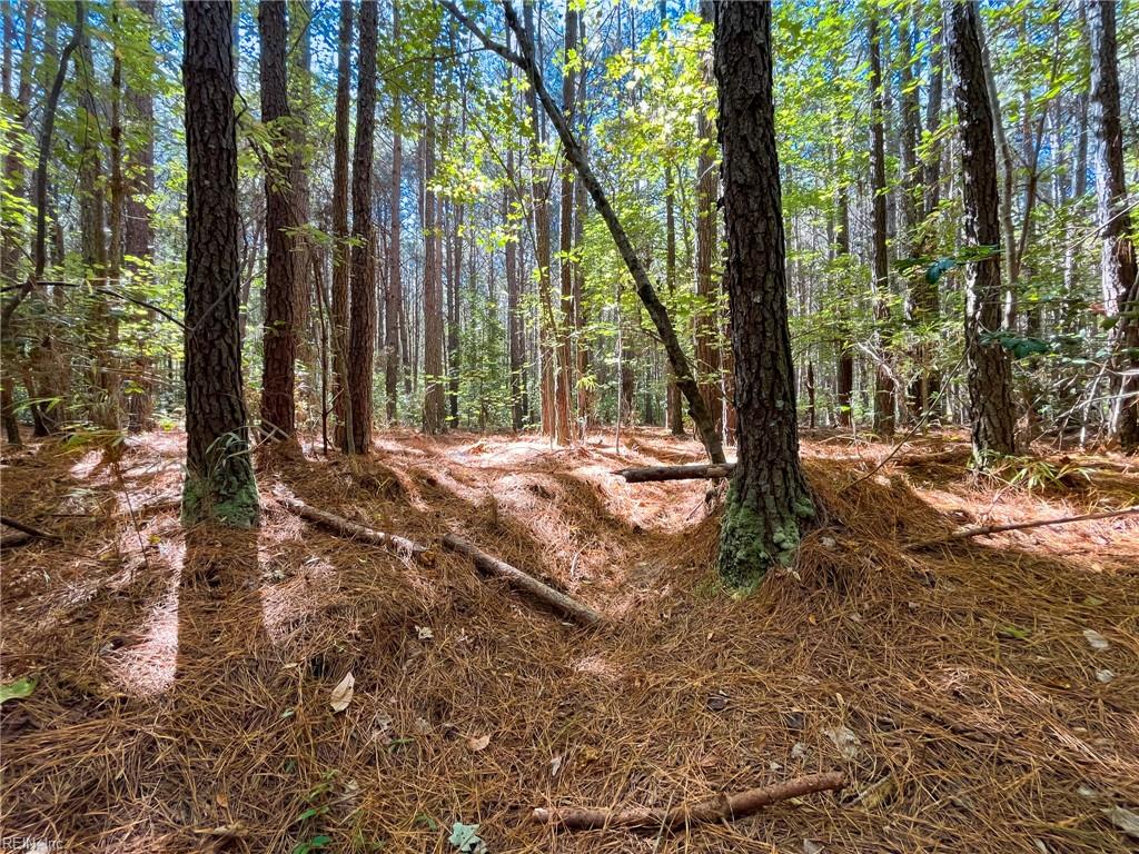 15 Acres Cypress Chapel Rd Property Photo 6