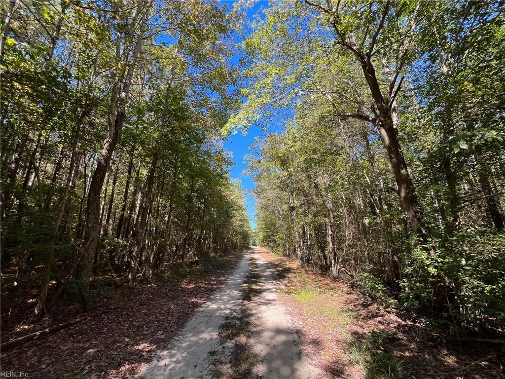 15 Acres Cypress Chapel Rd Property Photo 8