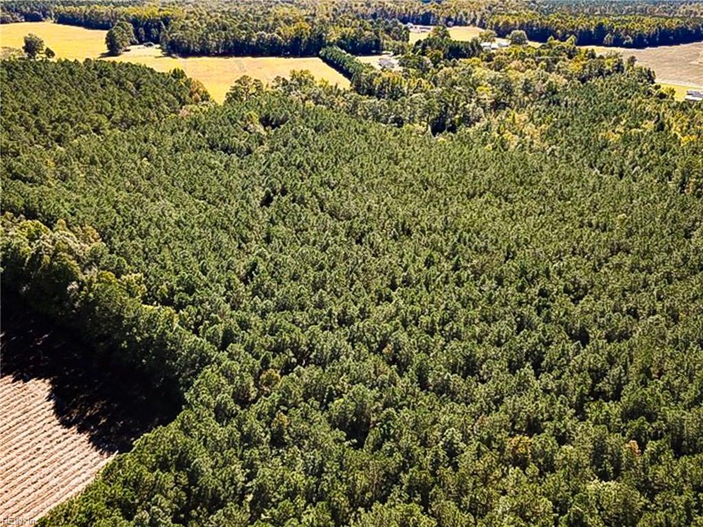 15 Acres Cypress Chapel Rd Property Photo 11