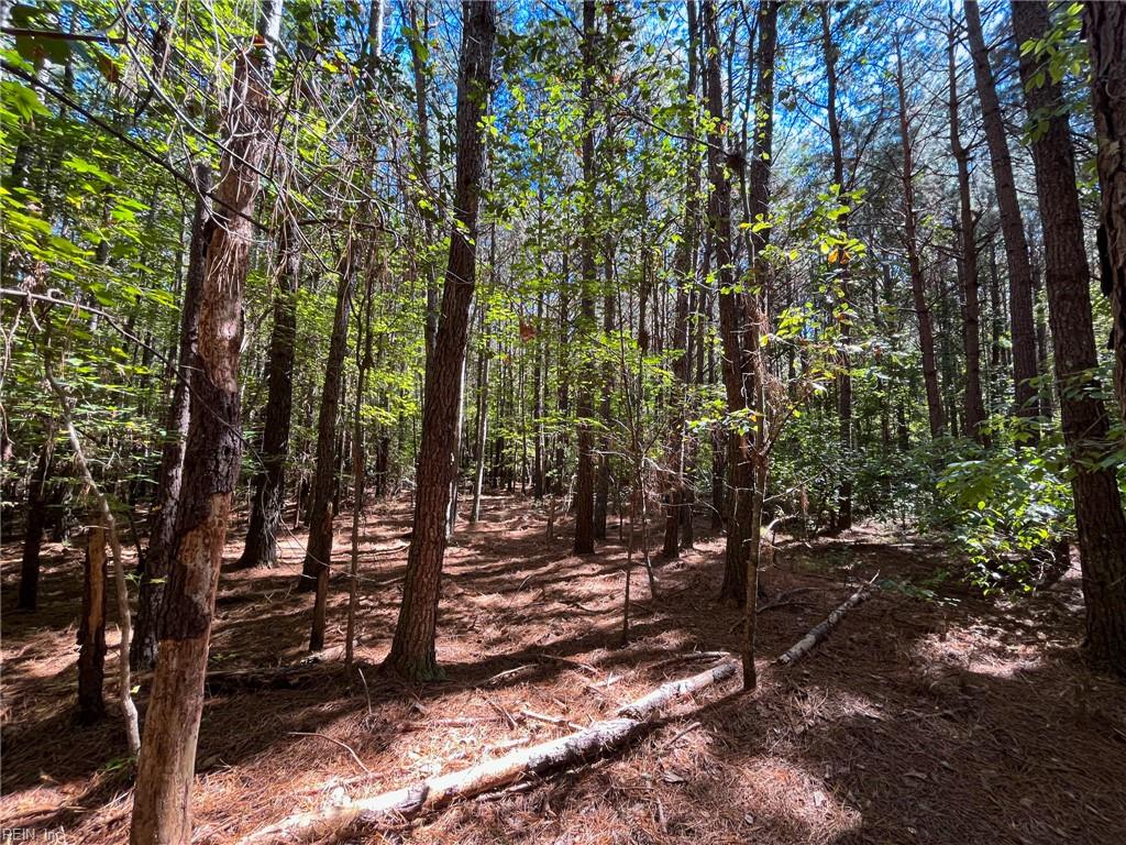 15 Acres Cypress Chapel Rd Property Photo 12
