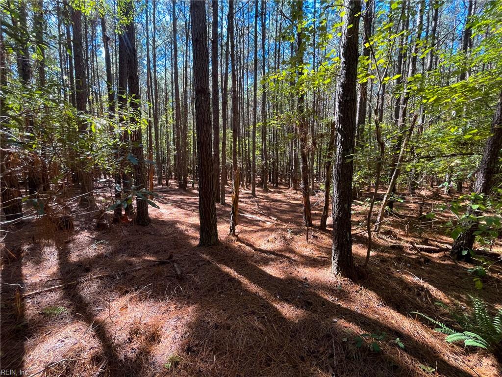 15 Acres Cypress Chapel Rd Property Photo 14