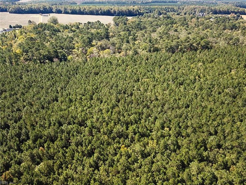 15 Acres Cypress Chapel Rd Property Photo 15