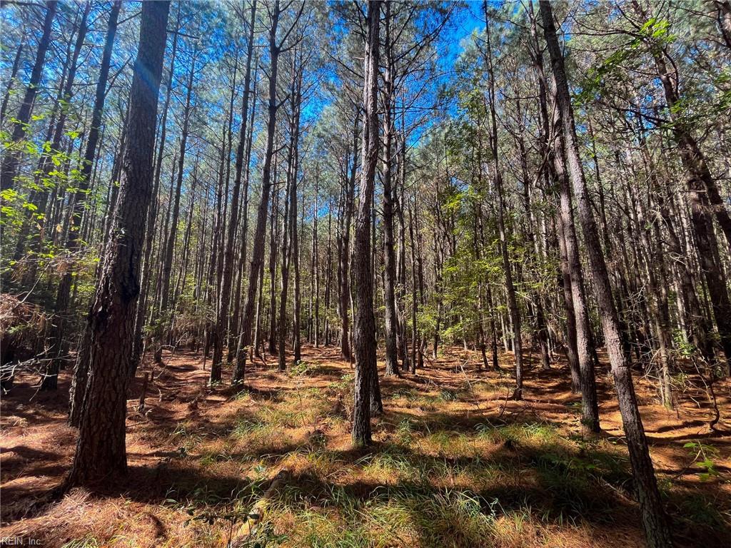 15 Acres Cypress Chapel Rd Property Photo 16