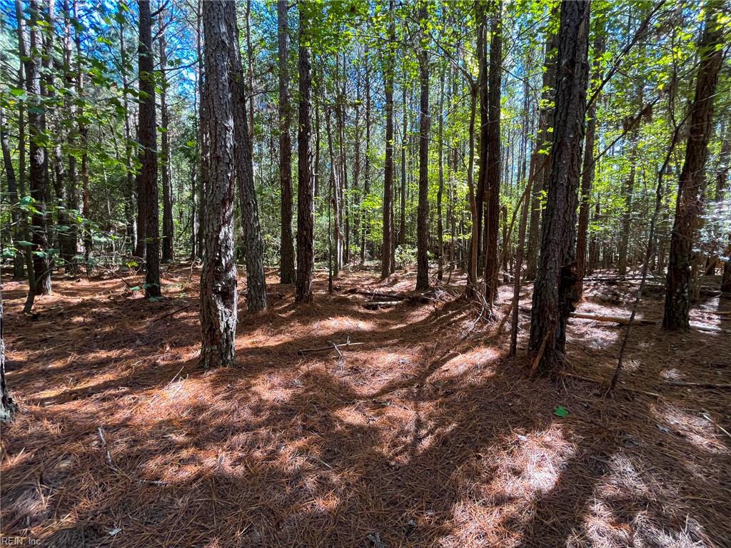 15 Acres Cypress Chapel Rd Property Photo 18