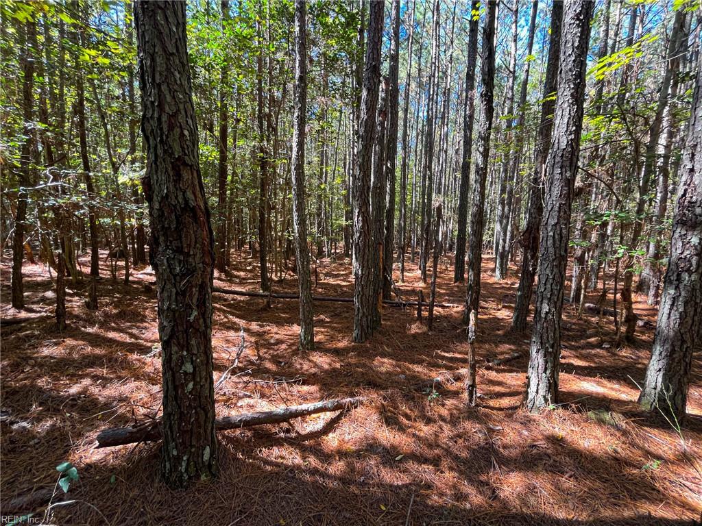 15 Acres Cypress Chapel Rd Property Photo 20
