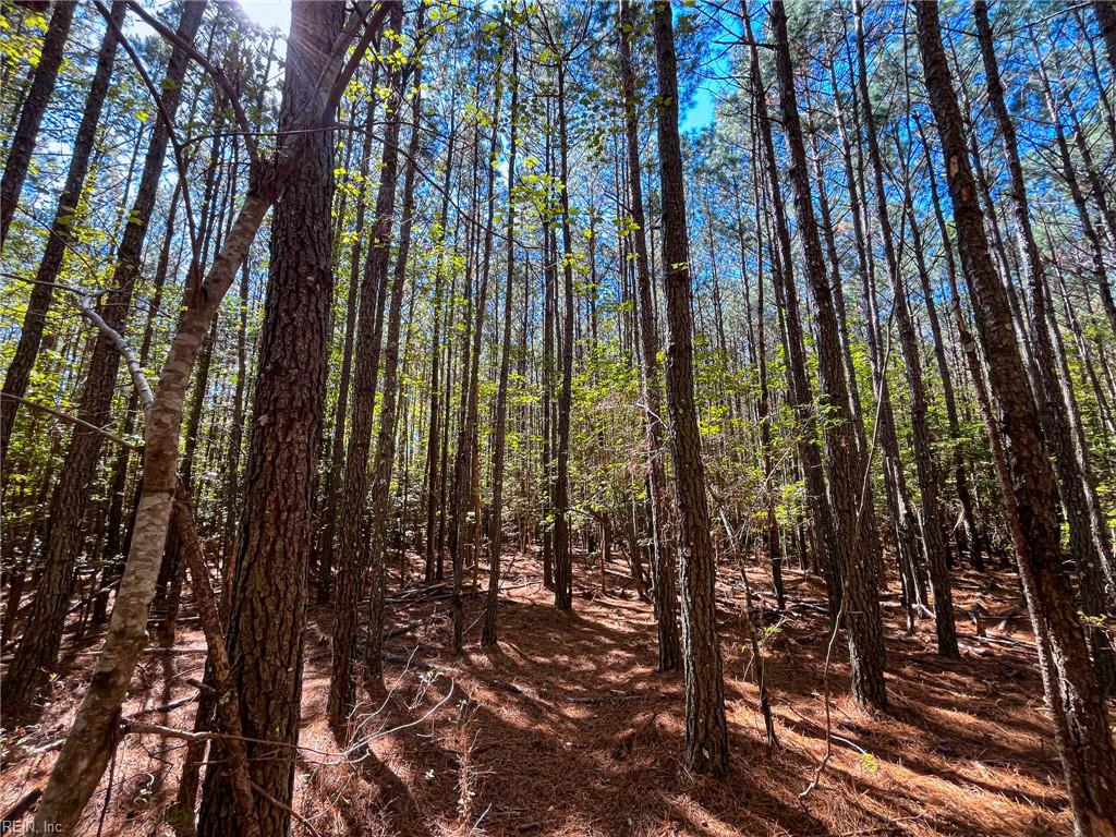 15 Acres Cypress Chapel Rd Property Photo 22