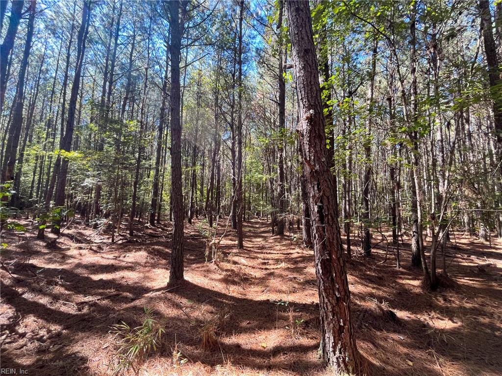 15 Acres Cypress Chapel Rd Property Photo 24