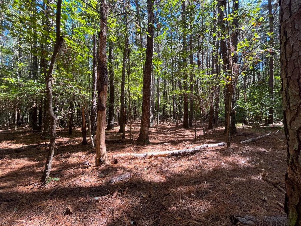 15 Acres Cypress Chapel Rd Property Photo 25
