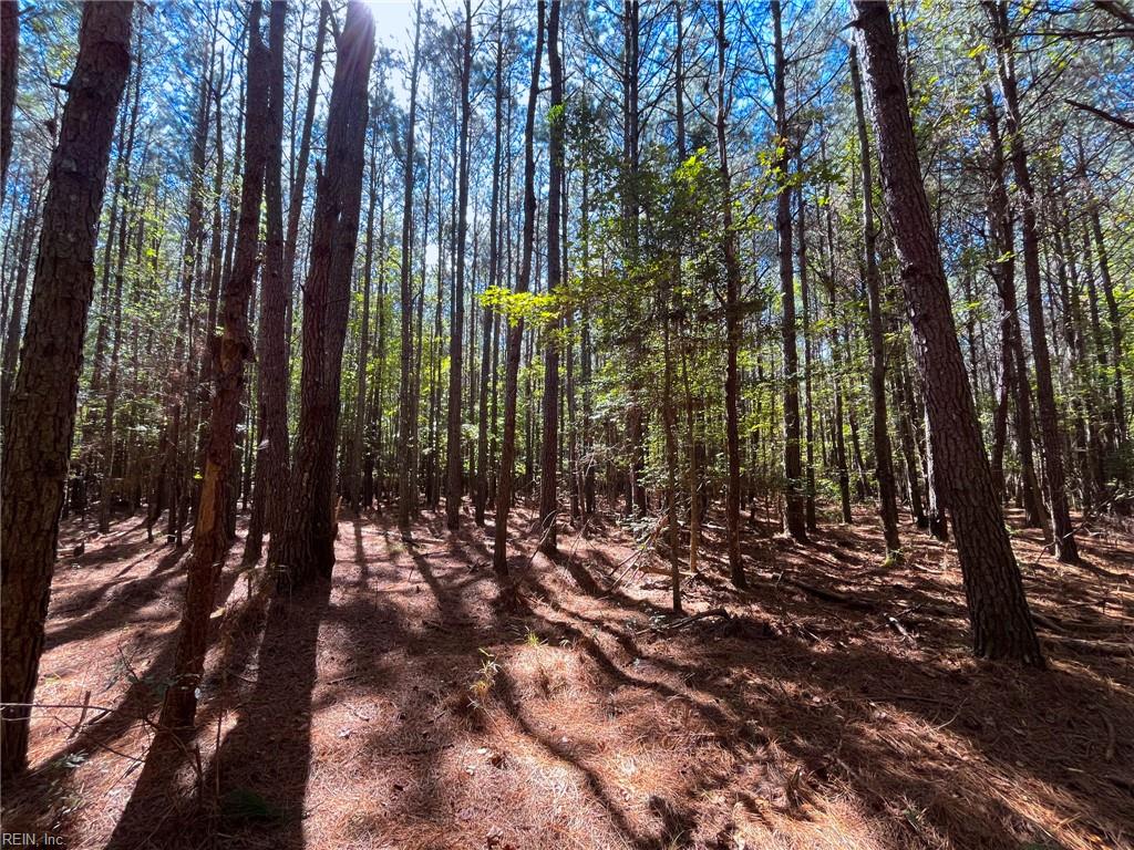 15 Acres Cypress Chapel Rd Property Photo 27