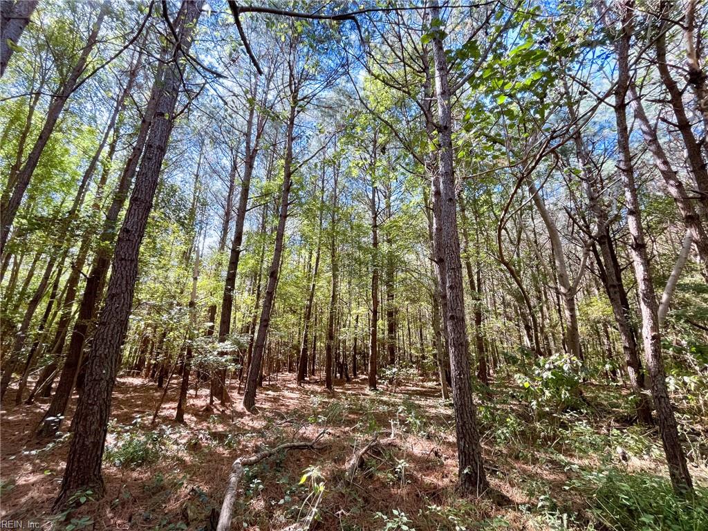 15 Acres Cypress Chapel Rd Property Photo 28