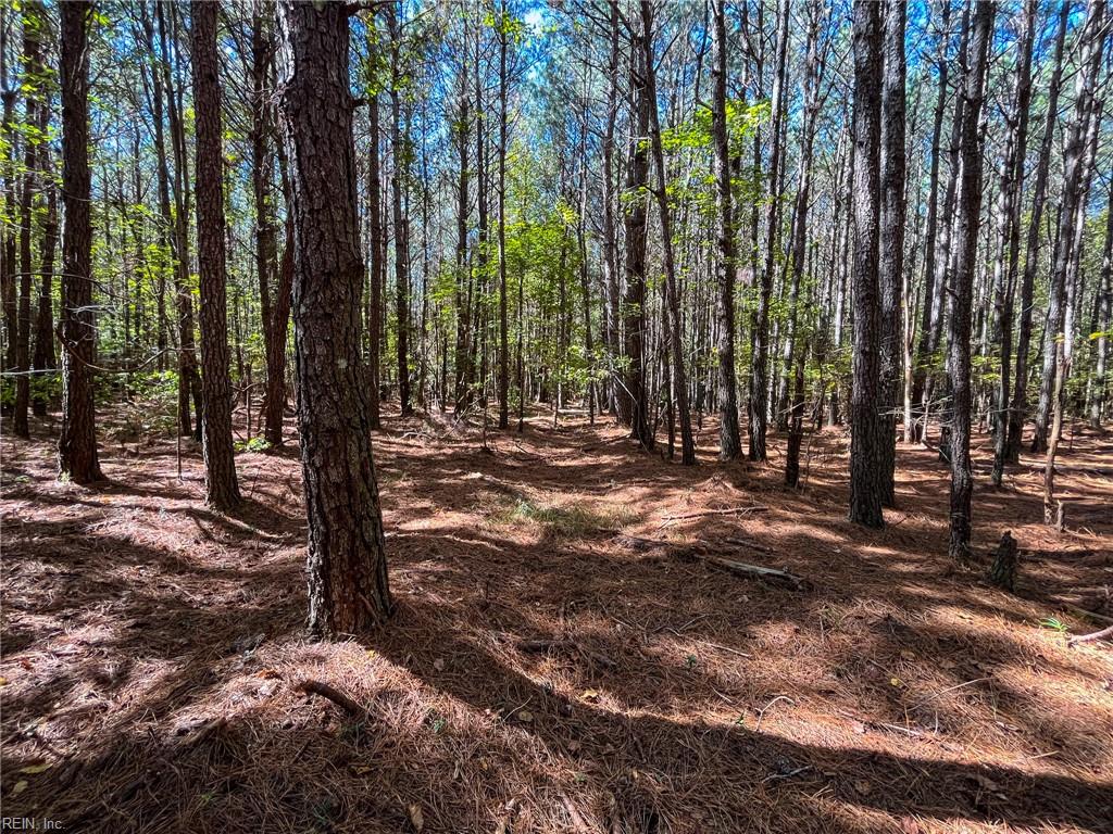 15 Acres Cypress Chapel Rd Property Photo 29