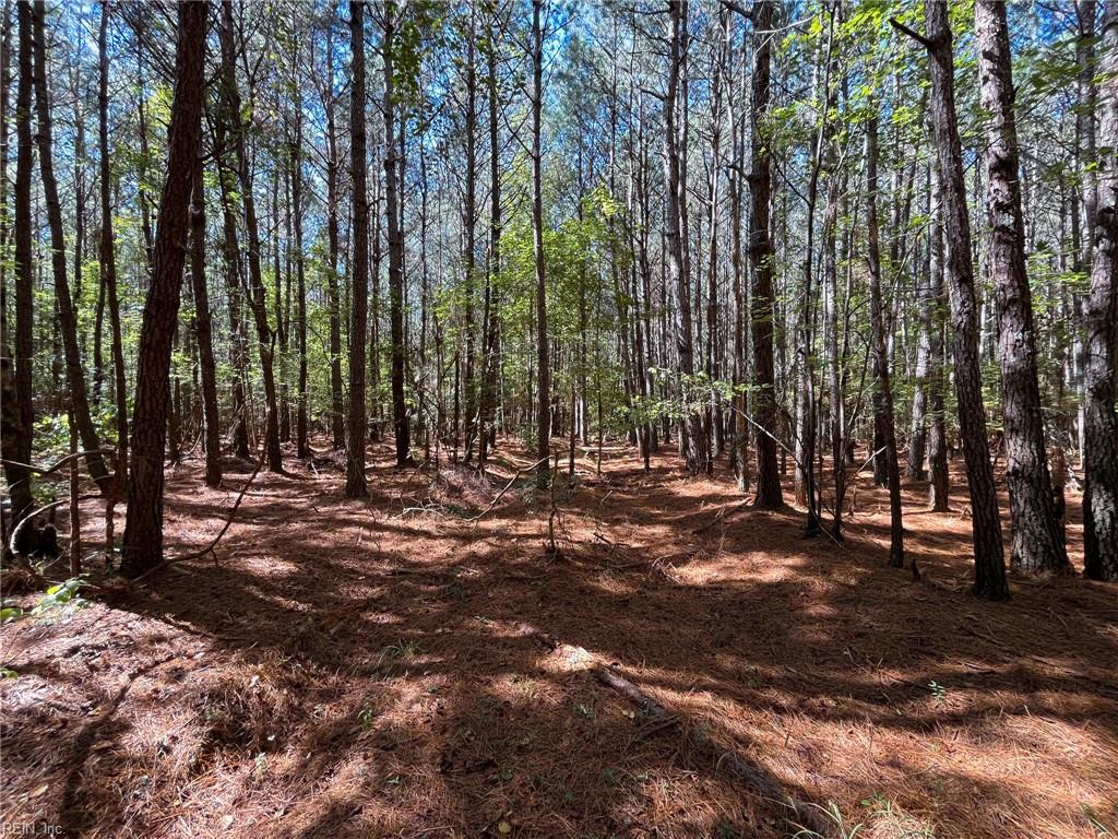 15 Acres Cypress Chapel Rd Property Photo 30