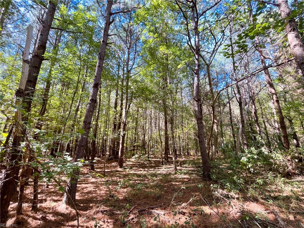 15 Acres Cypress Chapel Rd Property Photo 31