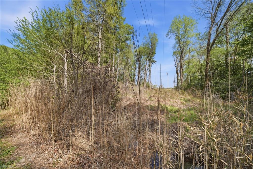 594 Drum Hill Rd Property Photo 8