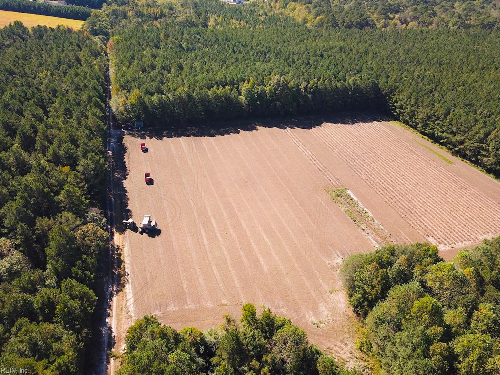 45.5 Acres Cypress Chapel Rd Property Photo 1