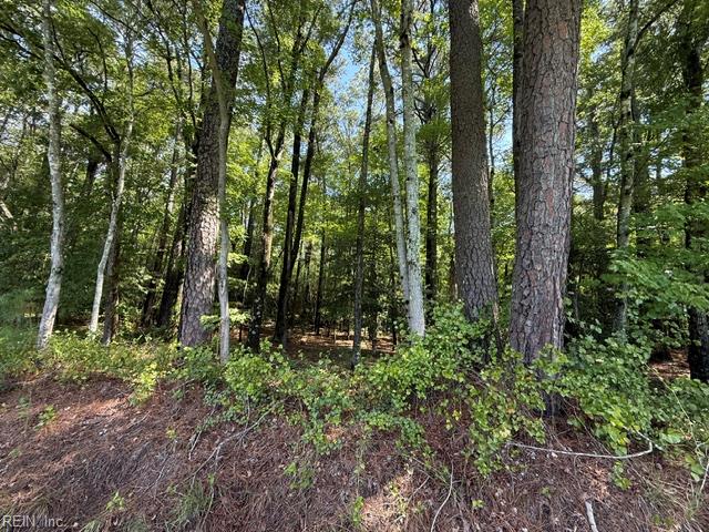 00 White Marsh Rd Property Photo 4