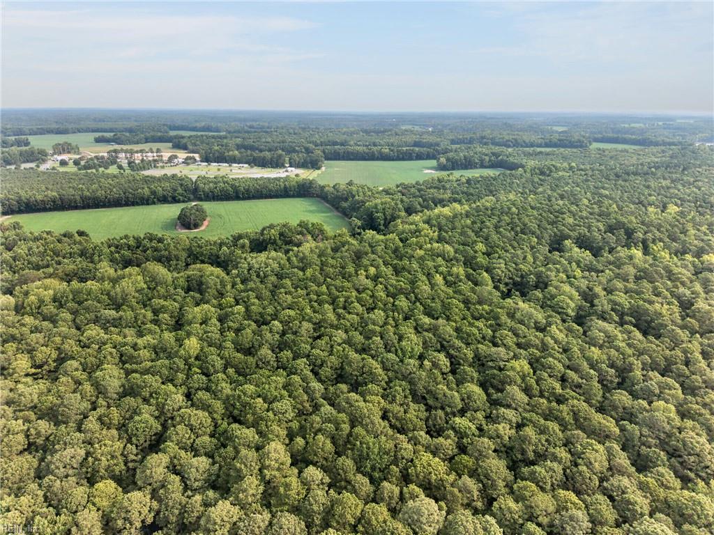 73.58 Ac Milners Rd Property Photo 6