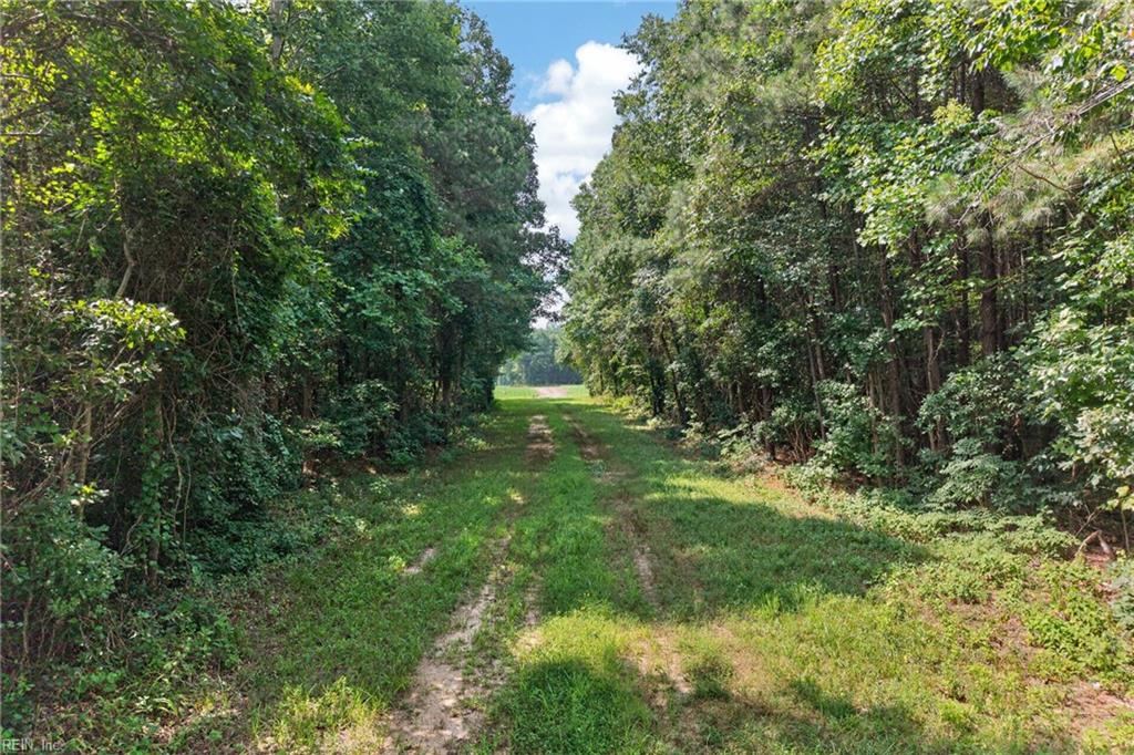 73.58 Ac Milners Rd Property Photo 16