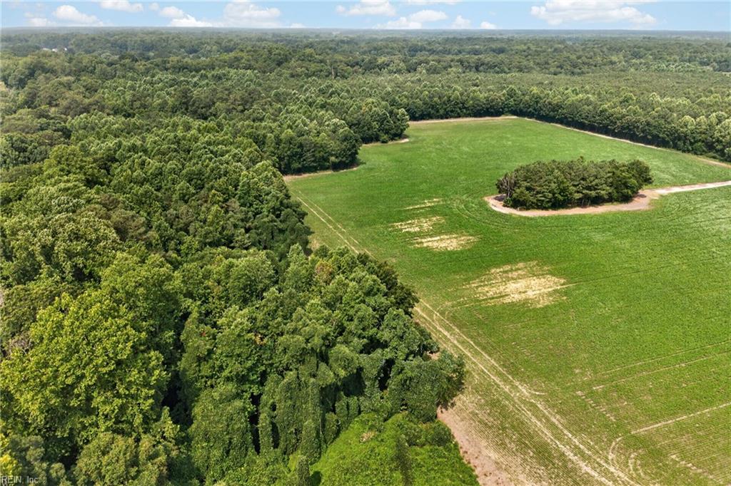 73.58 Ac Milners Rd Property Photo 19