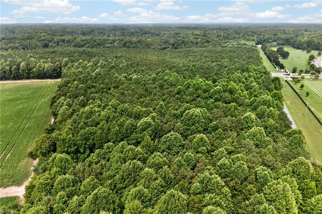 73.58 Ac Milners Rd Property Photo 24