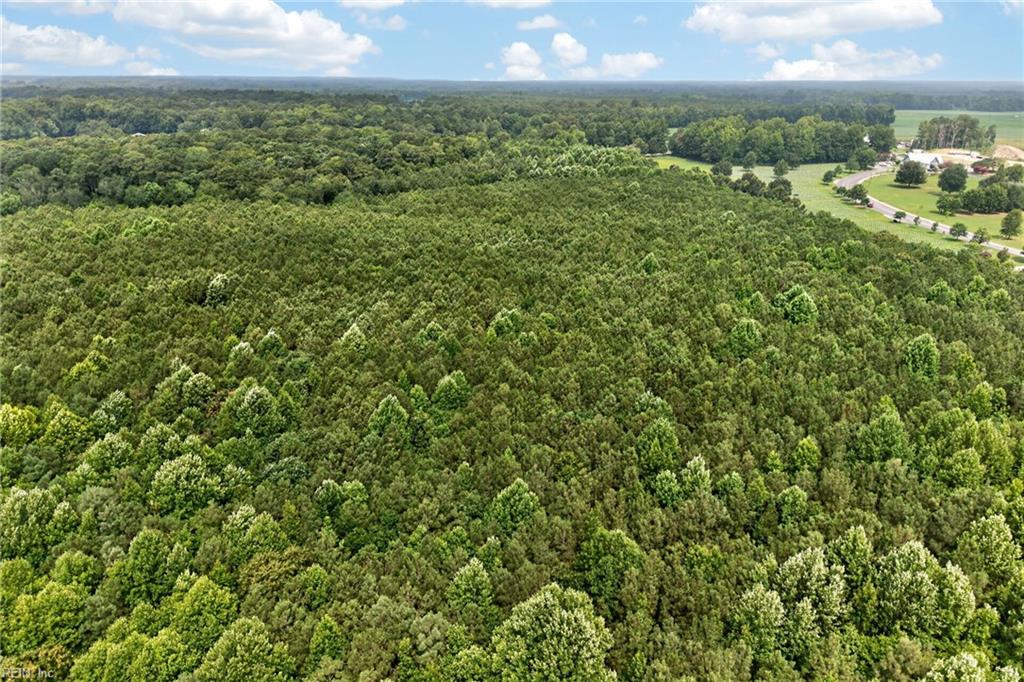 73.58 Ac Milners Rd Property Photo 25