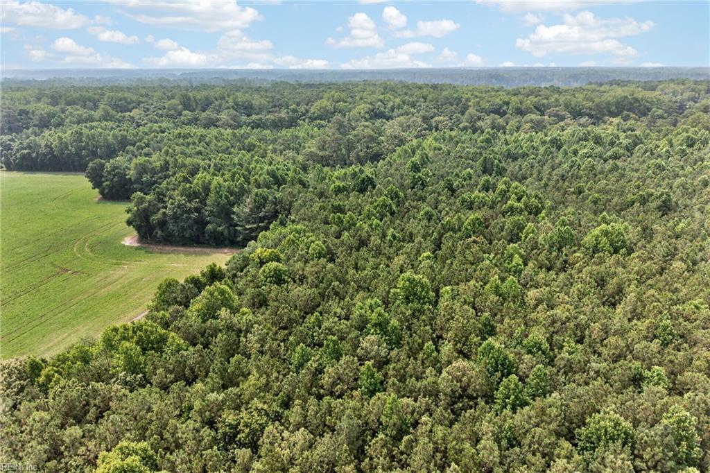 73.58 Ac Milners Rd Property Photo 29