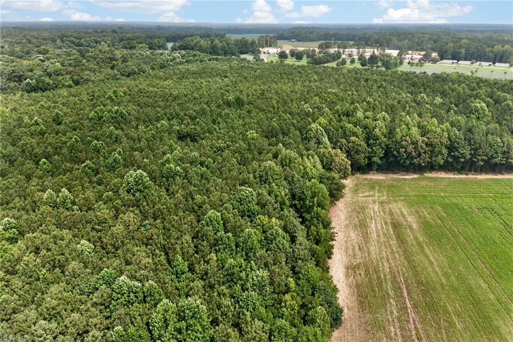 73.58 Ac Milners Rd Property Photo 30
