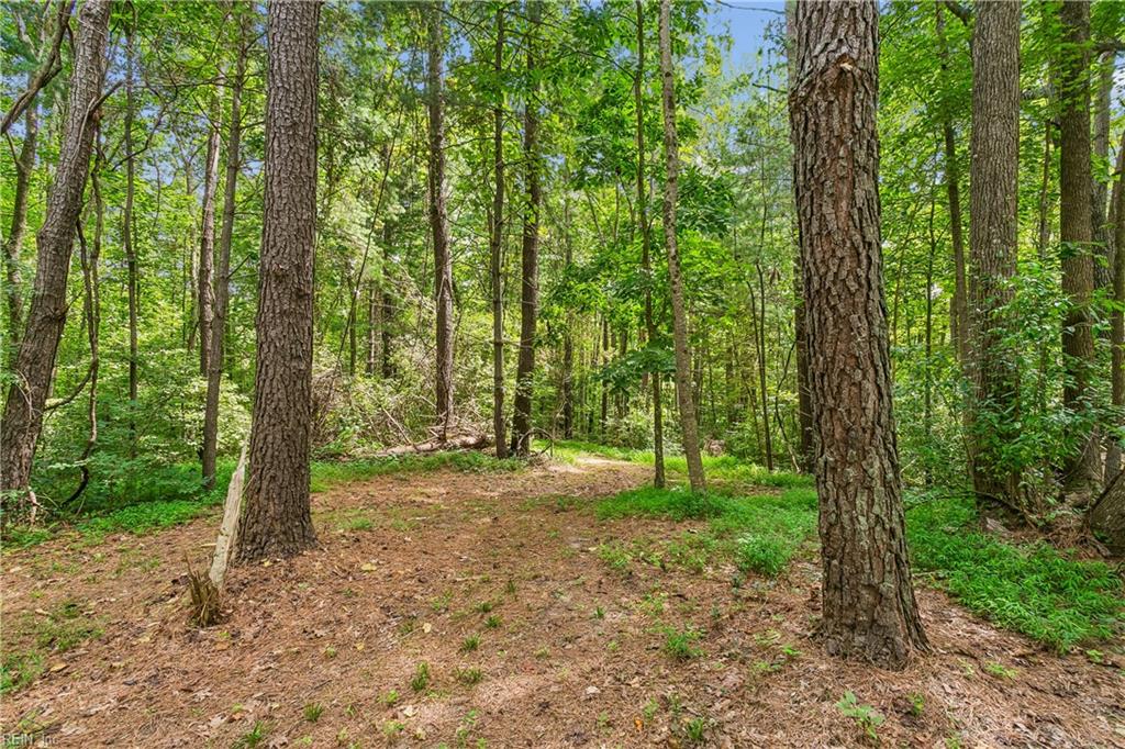 6477 Hickory Knoll Rd Property Photo 39