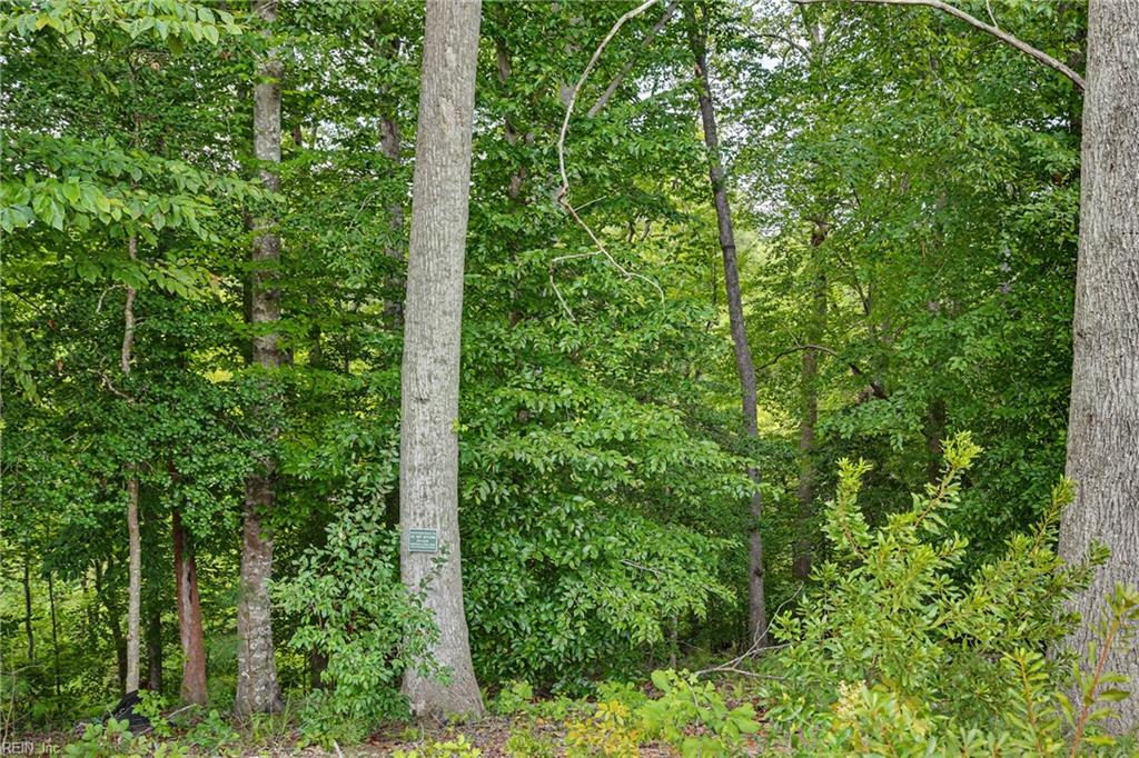 226 Galts Mill Arch Property Photo 36