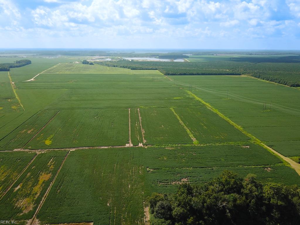 11.8 Acres Ballahack Rd Property Photo 5