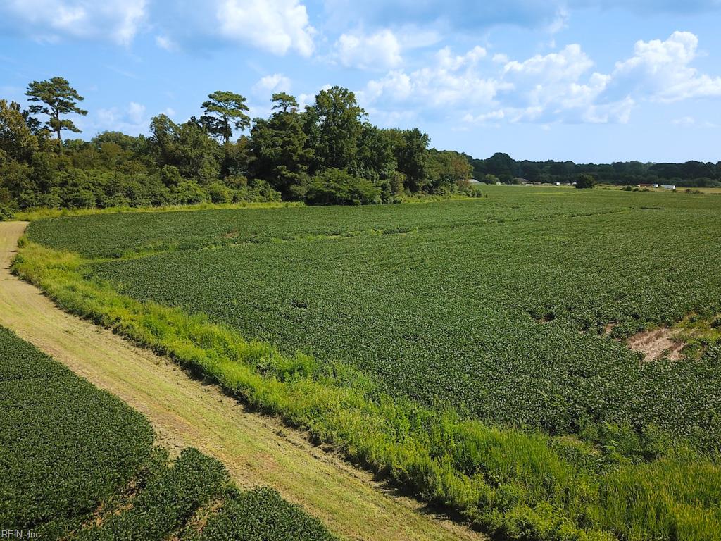 11.8 Acres Ballahack Rd Property Photo 6