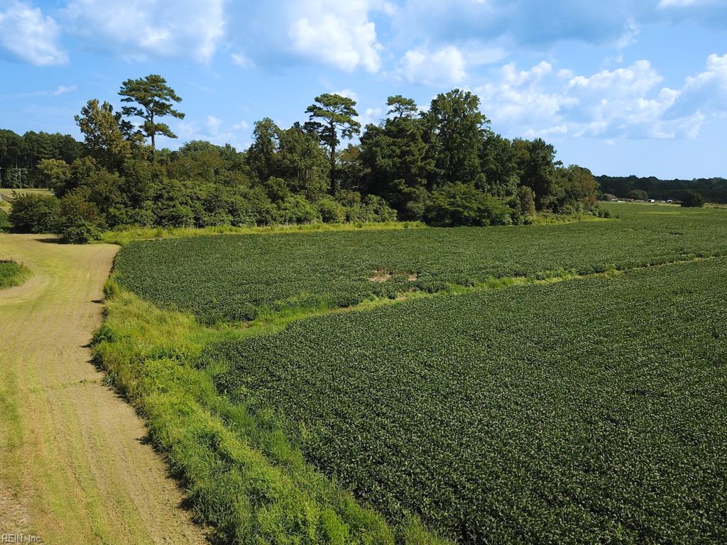 11.8 Acres Ballahack Rd Property Photo 13