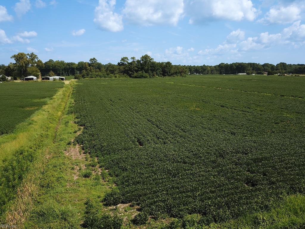 11.8 Acres Ballahack Rd Property Photo 20