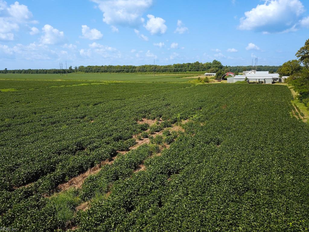 11.8 Acres Ballahack Rd Property Photo 27