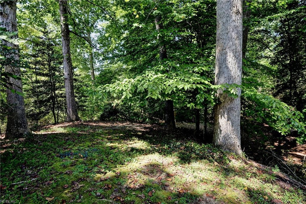 16 The Palisades Property Photo 43