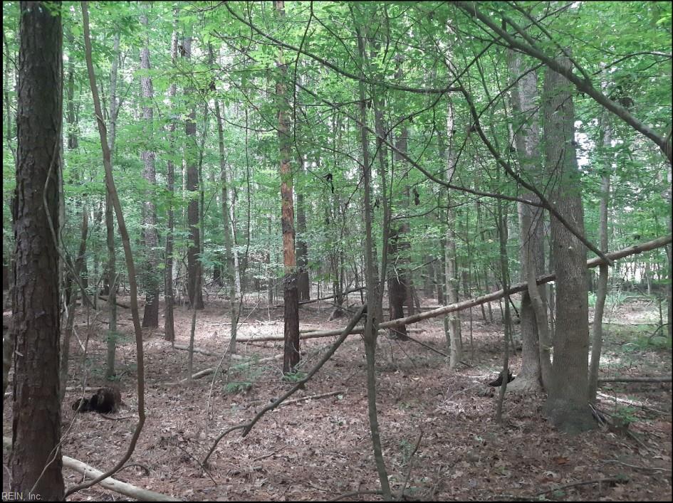 6600 Blackwater Rd Property Photo 3