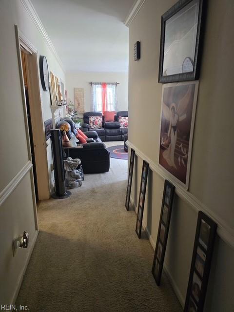 19 Sidney Pl Property Photo 7